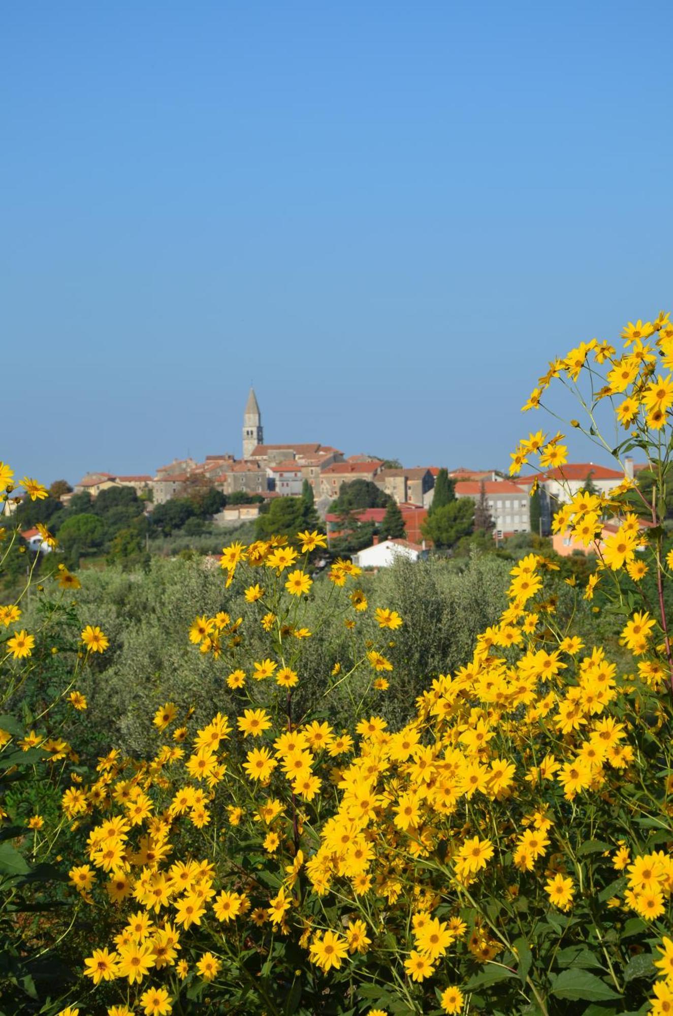 Villa Leopoldo By Istrian Country Houses Barat  Esterno foto