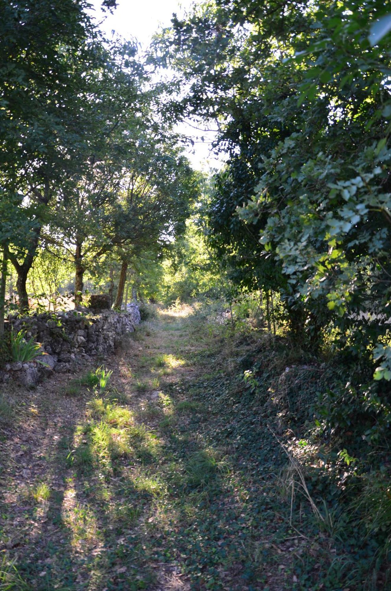 Villa Leopoldo By Istrian Country Houses Barat  Esterno foto