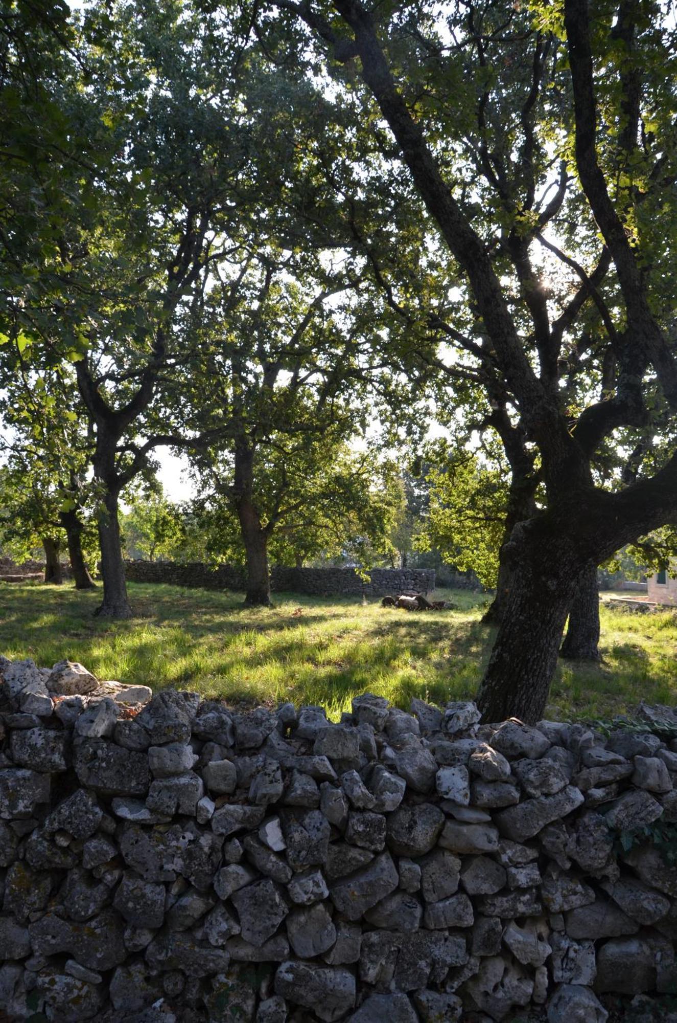 Villa Leopoldo By Istrian Country Houses Barat  Esterno foto